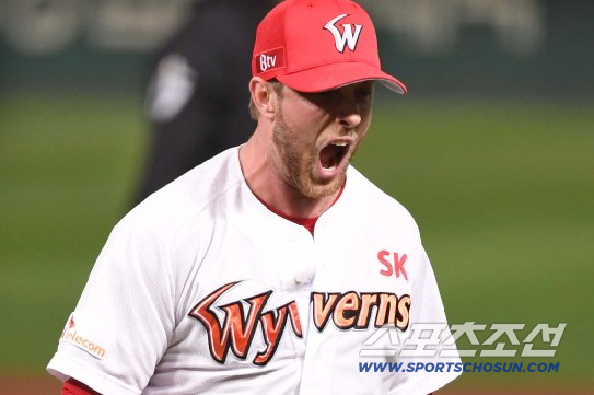 'KBO 48승→메이저 65승' 역수출 신화 켈리, 허리통증 후 두번째 …