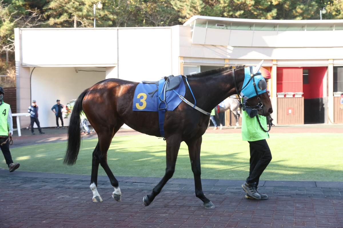 [경마]퀸즈투어, 봄의 여왕으로 가는 첫 여정! 제29회 동아일보배(L)…