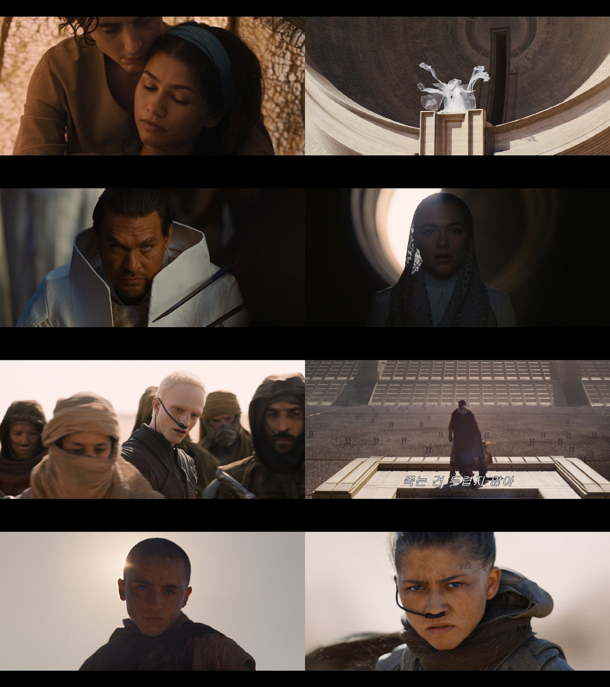 '오페라·발레 폄하'로 '금쪽이' 된 티모시 샬라메, '듄3'로 폼 찾을…