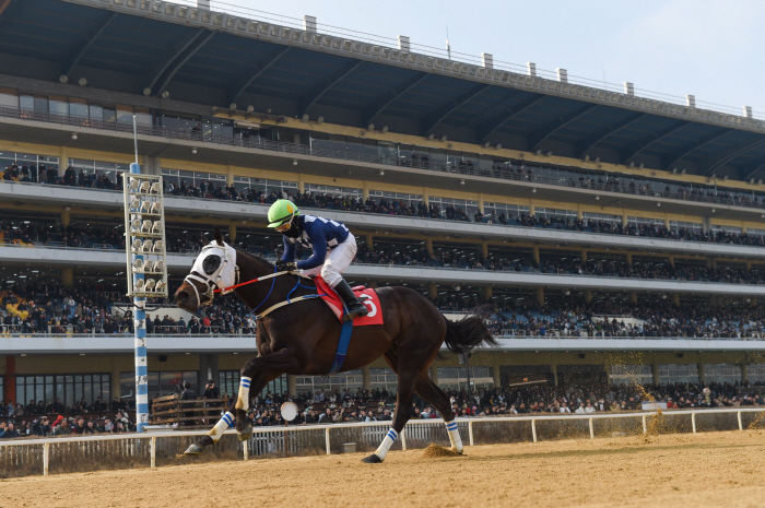 [경마] 제24회 헤럴드경제배 '클린원' 우승! "그랑프리 우승은 요행이 아니다"