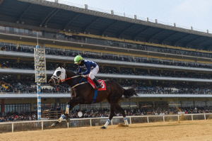[경마] 제24회 헤럴드경제배 '클린원' 우승! 