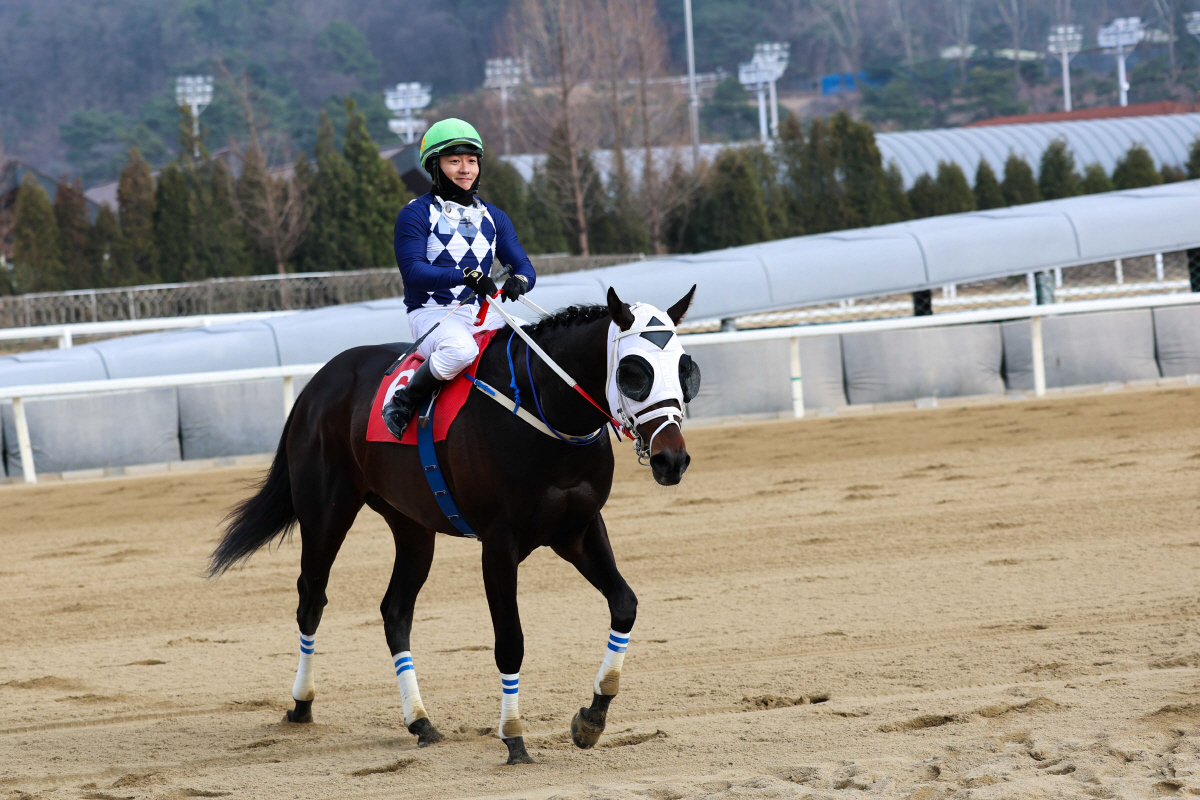 [경마] 제24회 헤럴드경제배 '클린원' 우승! "그랑프리 우승은 요행이…