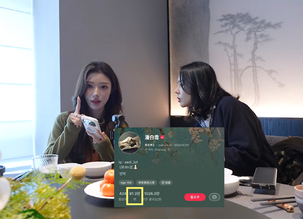 한가인, "팔로워만 100만" 中왕홍과 깜짝 만남에 '급' 의기소침 "난…