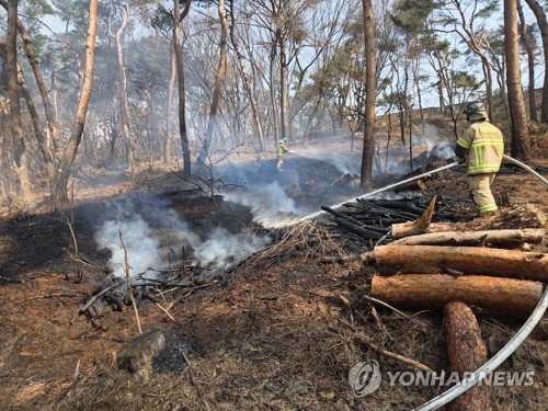 수원 팔달산 방화범 구속 송치…"산책 나왔다" 혐의 끝내 부인