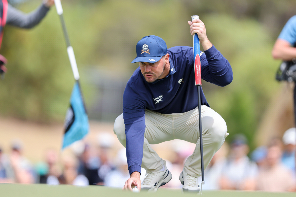 "한판 어때?" 디섐보, 우즈에 LIV-TGL 이벤트 매치 제안…성사 가…