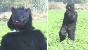 '곰'으로 변장한 농민들…'가슴 아픈' 사연 있었다