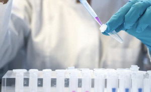 양육비 안 주려고…친구에게 친자확인 검사 부탁 '덜미'