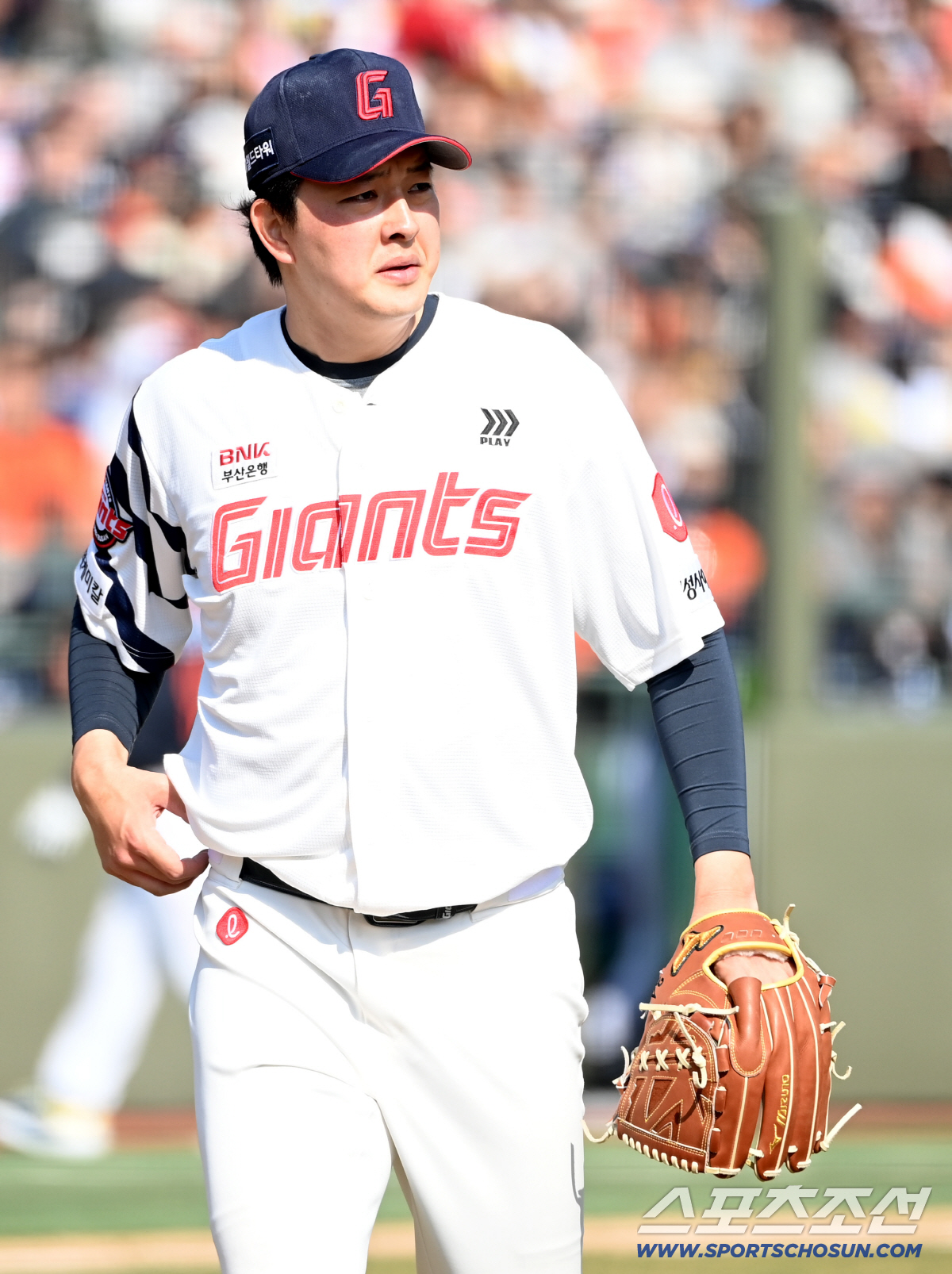 '미쳤다 롯데!' 16안타-12득점 대폭발, 한화 꺾고 승률 0.857 …