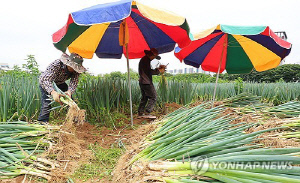 [전국레이더] 둑 터진 초고령화…'한국형 은퇴자도시' 조성 본격 시동