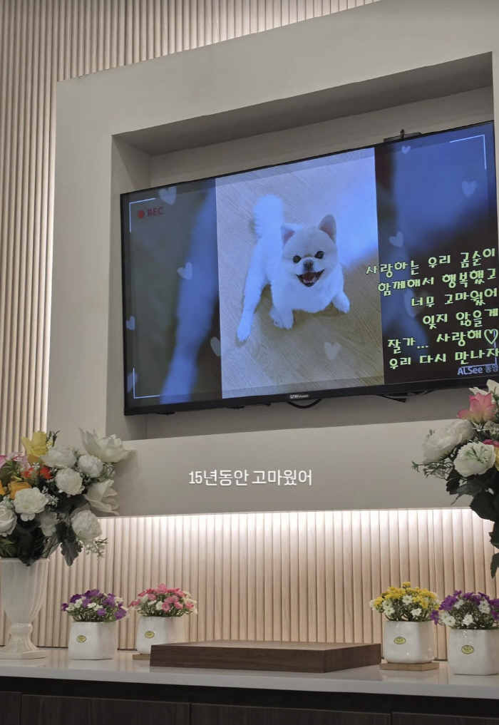 풍자, 가슴 아픈 이별…15년 품은 가족 떠나 보냈다 "함께해서 행복했어…