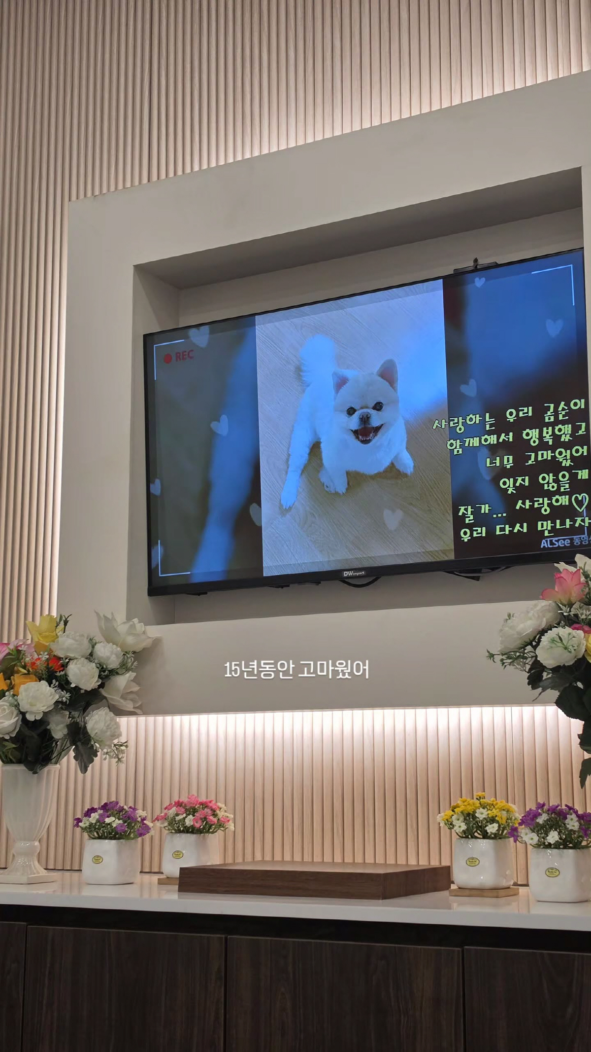 풍자, 안타까운 비보 전했다..."15년 동안 고마웠어"