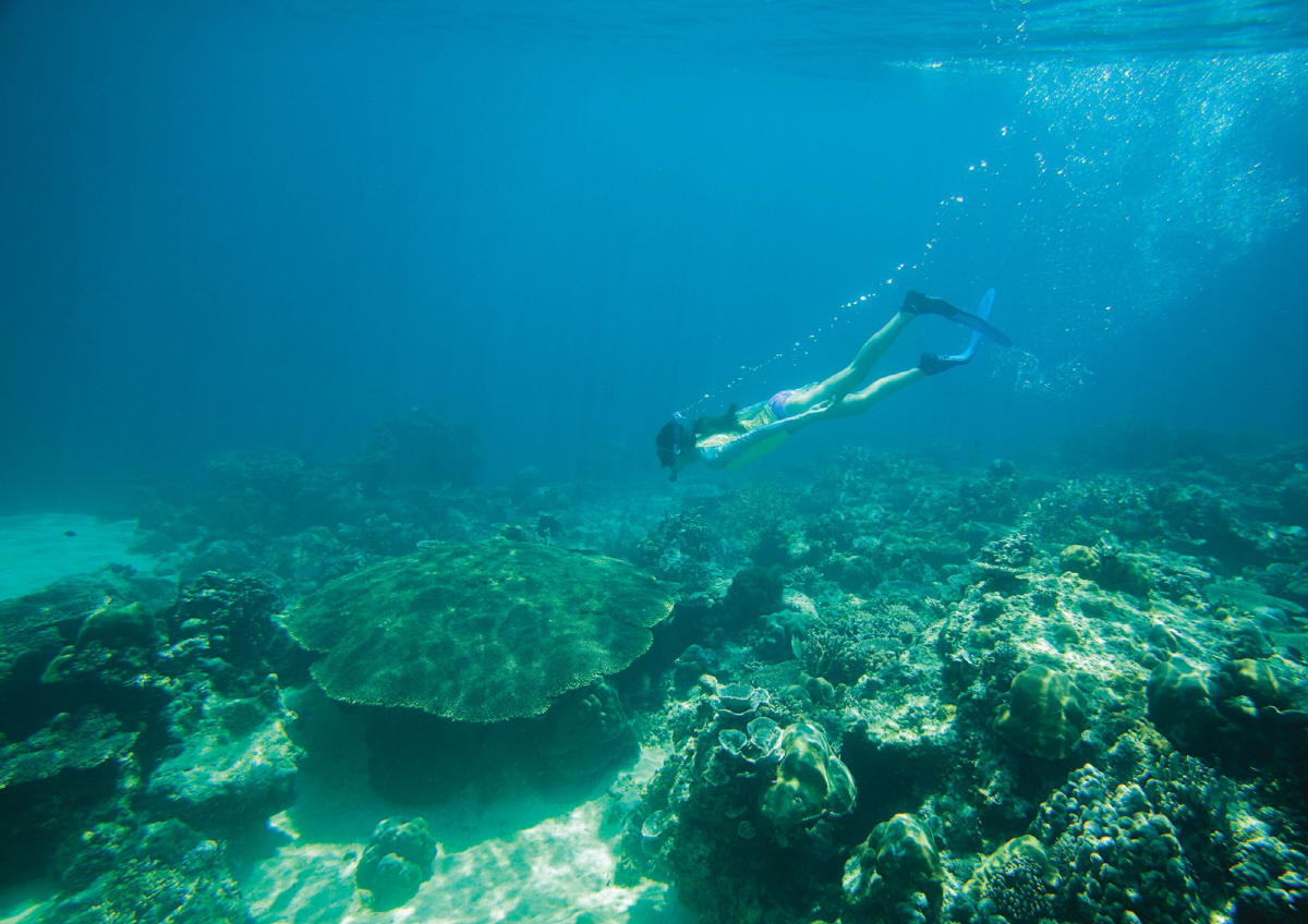 필리핀 관광부, 2026 서울국제스포츠레저산업전 참가 "수중 아름다움 알…