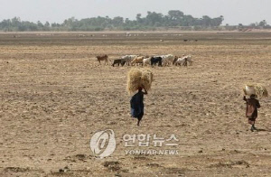 [사이테크 ] "2℃ 상승해도 극단적 기후 발생…가뭄·폭우 위험 예상보다 커"