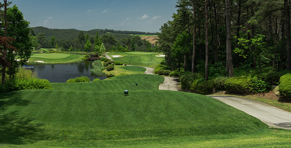 왕좌 향한 첫 격돌… KLPGA 국내 개막전 더 시에나 오픈 순금 트로피…