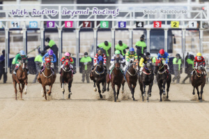 [한국경마 타임캡슐] 2016년 3월 '호주로 수출되는 한국경마'