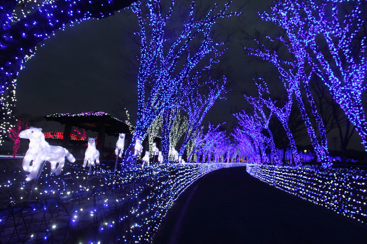 [한국경마 타임캡슐] 2016년 3월 '호주로 수출되는 한국경마'