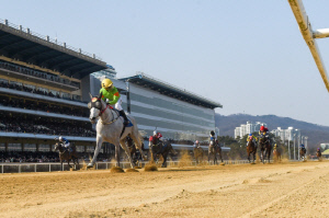[경마] 라온포레스트, 베테랑의 저력으로 제29회 동아일보배(L) 정상