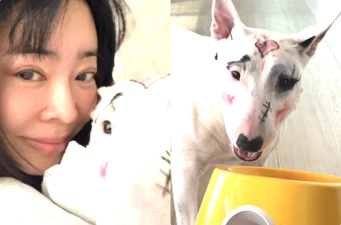반려견 얼굴에 얼룩덜룩 낙서..이혜영, 사과·해명 없이 조용히 글 삭제