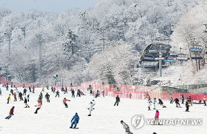 폐장 후 드러난 스키장 한파…학교체육 연계·정부지원 시급