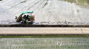 산지 쌀값 5만8천원, 역대 최고…벼농사 순수익 1년 새 58%↑