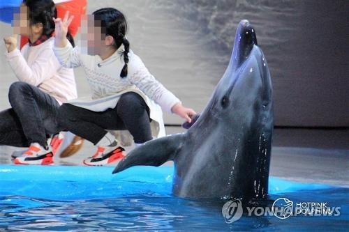 [해수분해] 돌고래쇼 어디로…수족관에도 동물복지