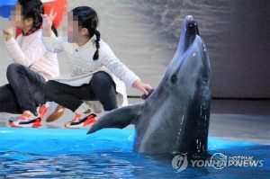 [해수분해] 돌고래쇼 어디로…수족관에도 동물복지