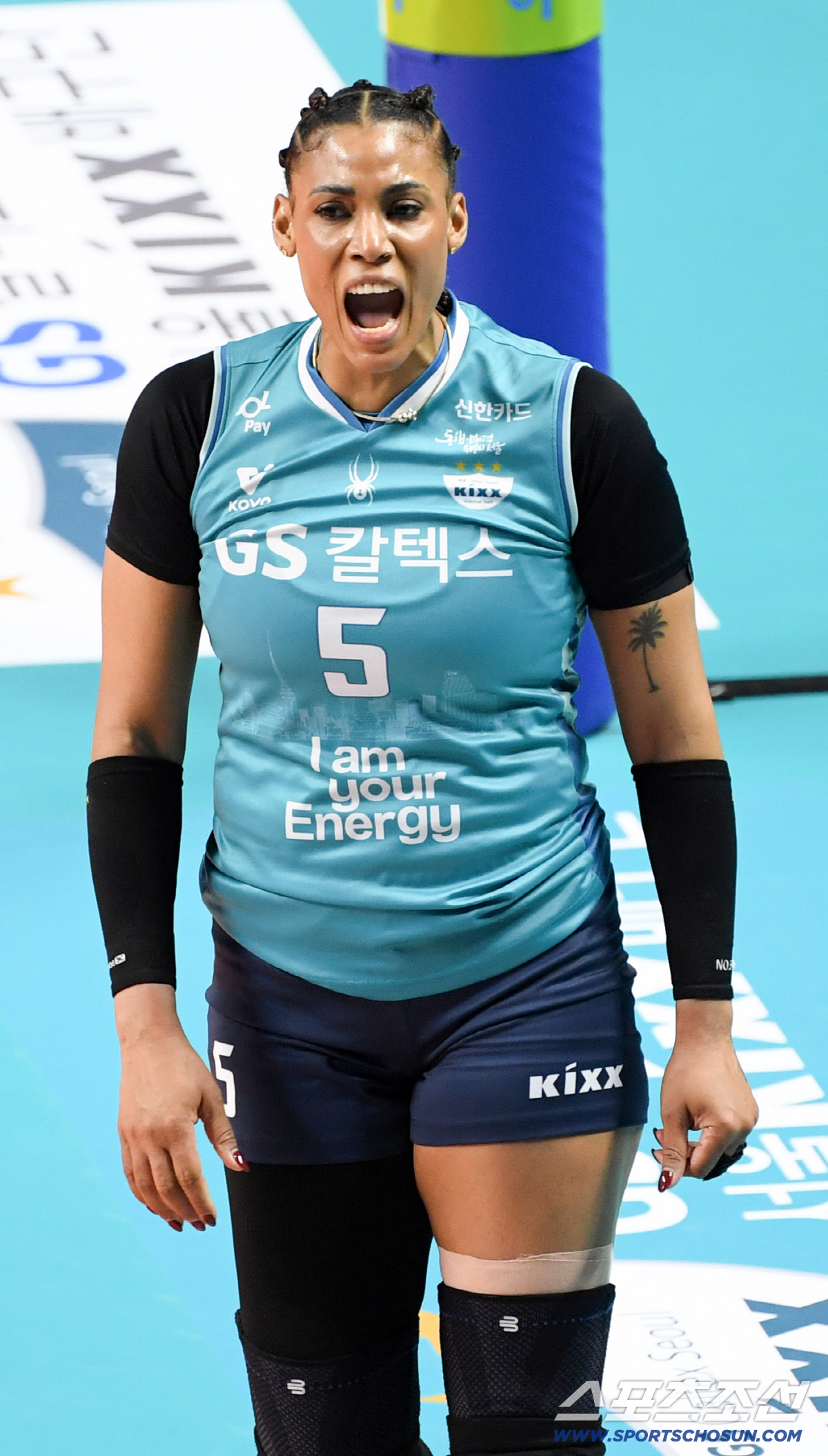 "초반 분위기에 달렸다" 타오르는 GS칼텍스의 '야심'…권민지-안혜진 선…