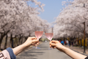 켄싱턴호텔앤리조트, 전국 봄꽃 명소 연계한 '봄 힐링 여행' 기획전 선보여