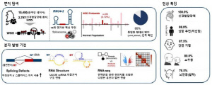 소두증·뇌전증 등 미규명 소아 신경발달장애, '비암호화 유전자 변이' 확인