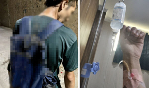 "돈 안 줬다고 소 배설물 던져"…여행 블로거들 고열로 입원까지