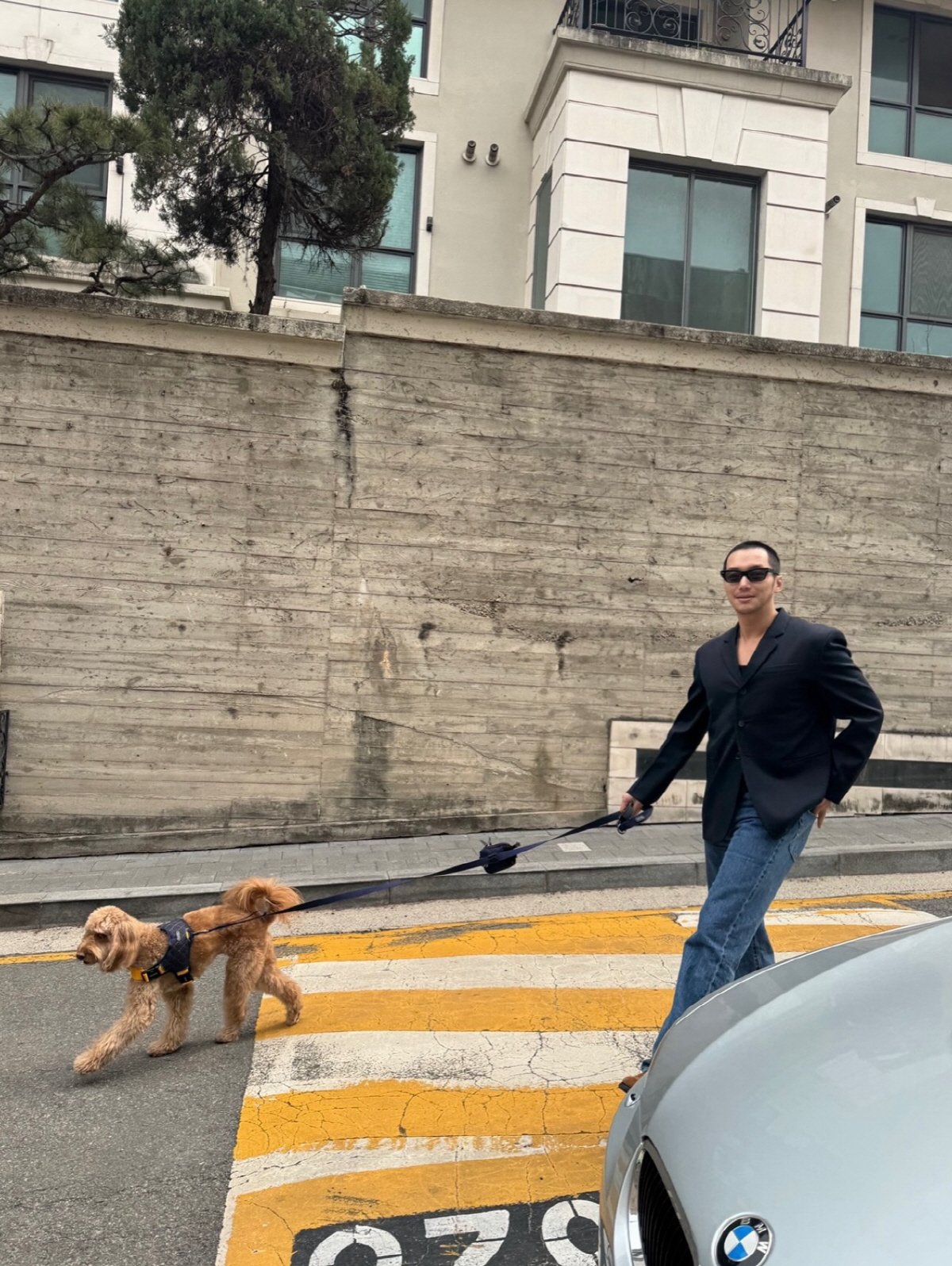 변요한♥티파니, 반려견으로 티난 신혼 데이트...부부 2달차 달달 럽스타