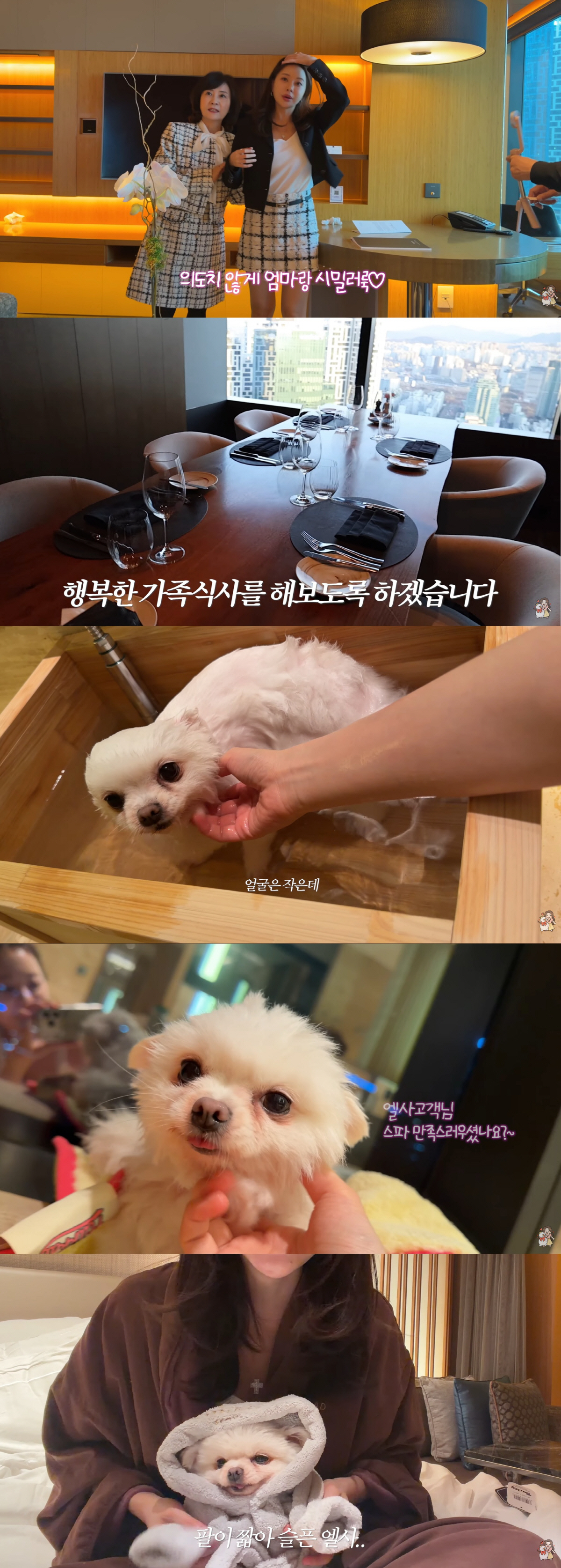 아옳이, '하루 160만원' 반려견 호캉스..'66억 자가' 재력가 플렉스