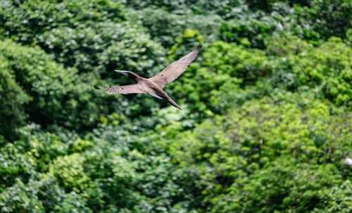 버드 생추어리 [사진/임헌정 기자]