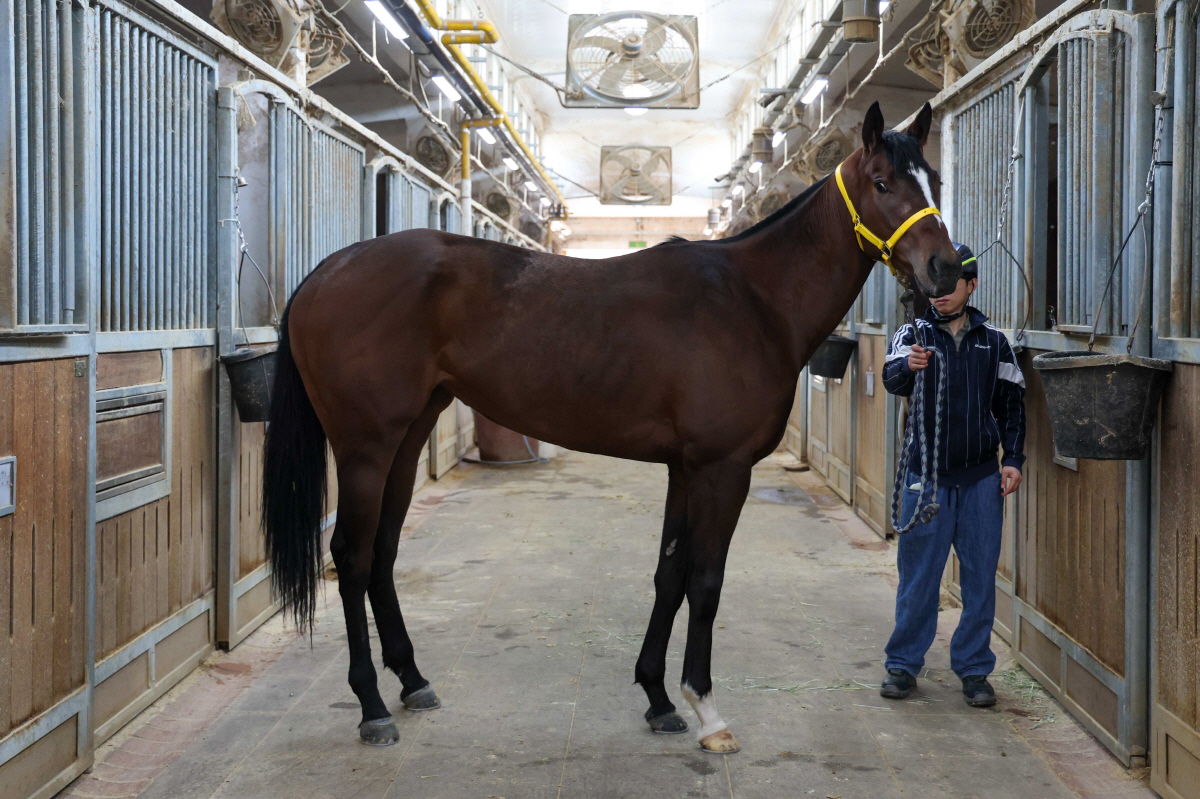라온피날레. 사진제공=한국마사회