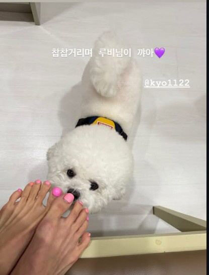 조여정, 송혜교 집엔 무슨 일…반려견과 행복한 ‘집 데이트’