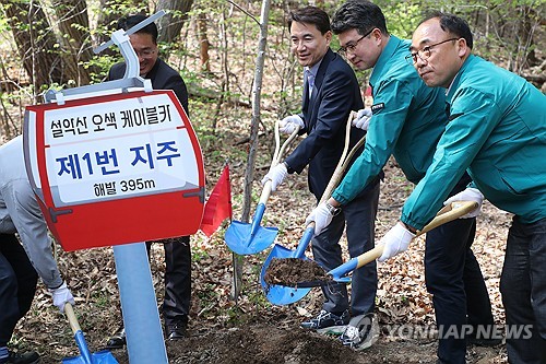 [연합뉴스 자료사진]
