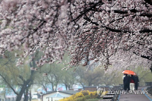 토요일 오전 전국 대부분 강풍 속 봄비…낮 최고 13∼21도