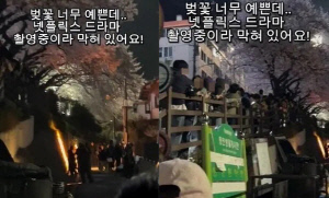 ‘뷰티 인 더 비스트’, 벚꽃길 통제 논란→결국 사과 “불편 드려 죄송”