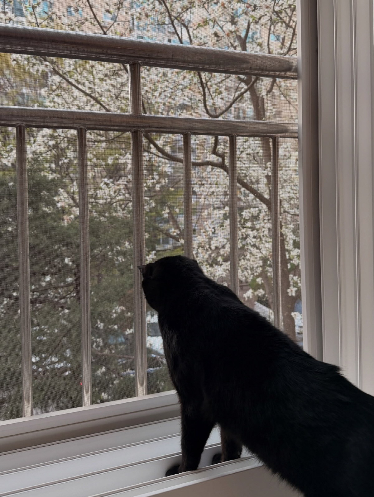 박수홍♥김다예 딸, 17개월에 광고 17개+모델 발탁되더니..."父보다 더 인기"