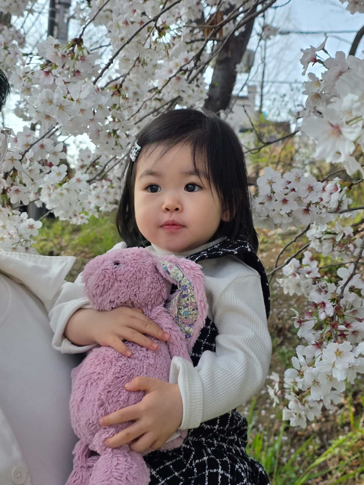 박수홍♥김다예 딸, 17개월에 광고 17개+모델 발탁되더니..."父보다 더 인기"