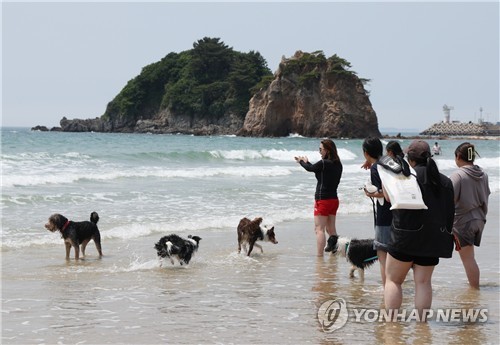 [태안군 제공. 재판매 및 DB 금지]