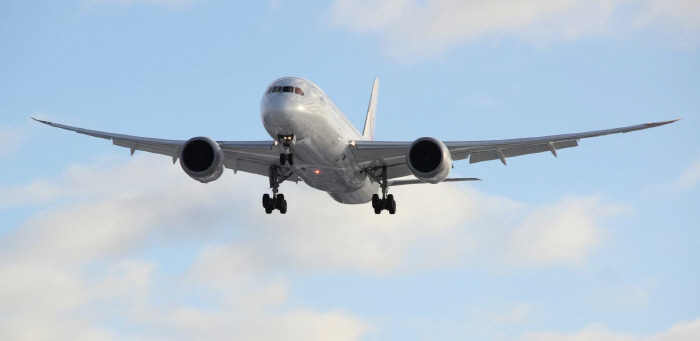 착륙 직전 기내 출산…"아기 이름 '케네디' 어때?"