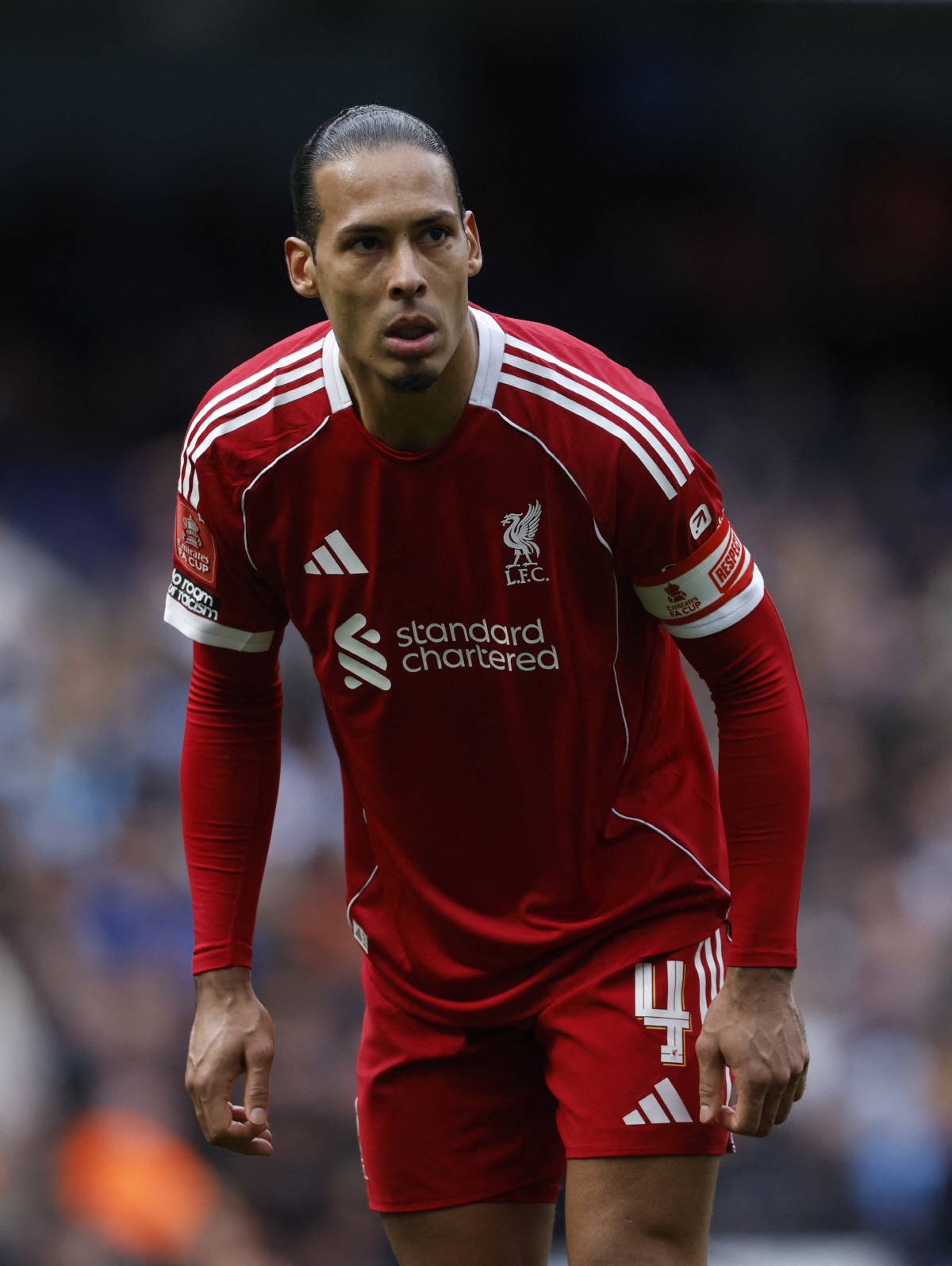 반 다이크 로이터