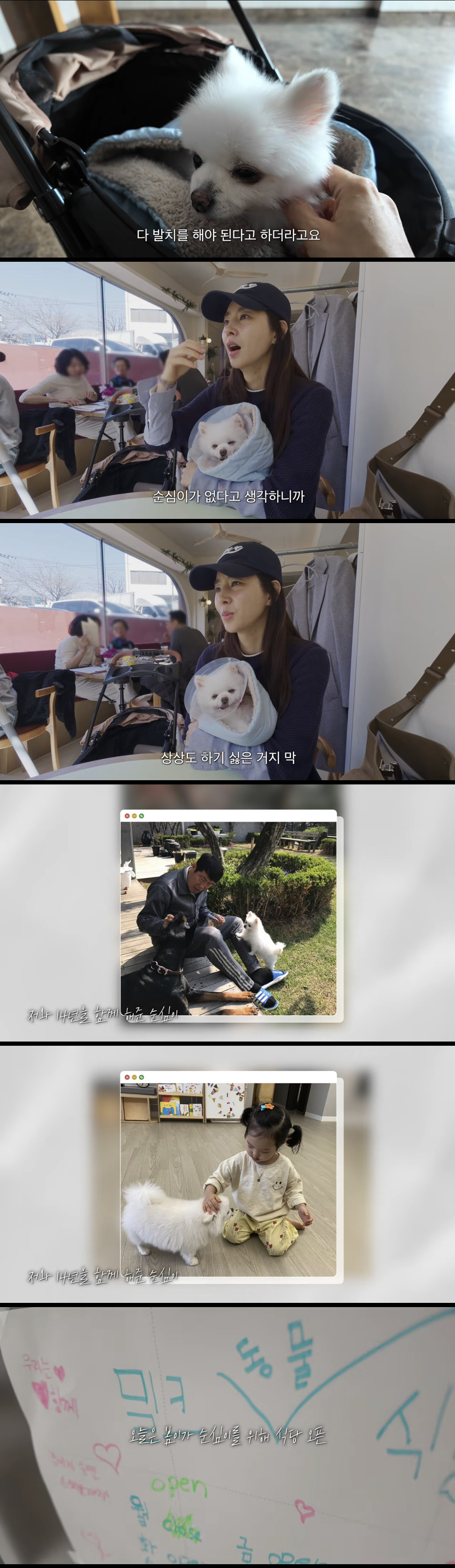 한채아, 딸 최초 공개…♥차세찌와 반반 닮은 귀요미 "요즘 식당해"