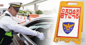 "차가 도로 막고 있다" 신고에 만취 운전자 검거