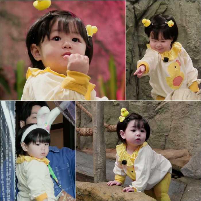 심형탁 子 하루, 