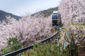 화담숲, 봄 시즌 맞춤형 체험 프로그램 선보여