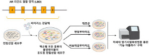 전립선암, 약물 치료 효과 예측 가능해진다
