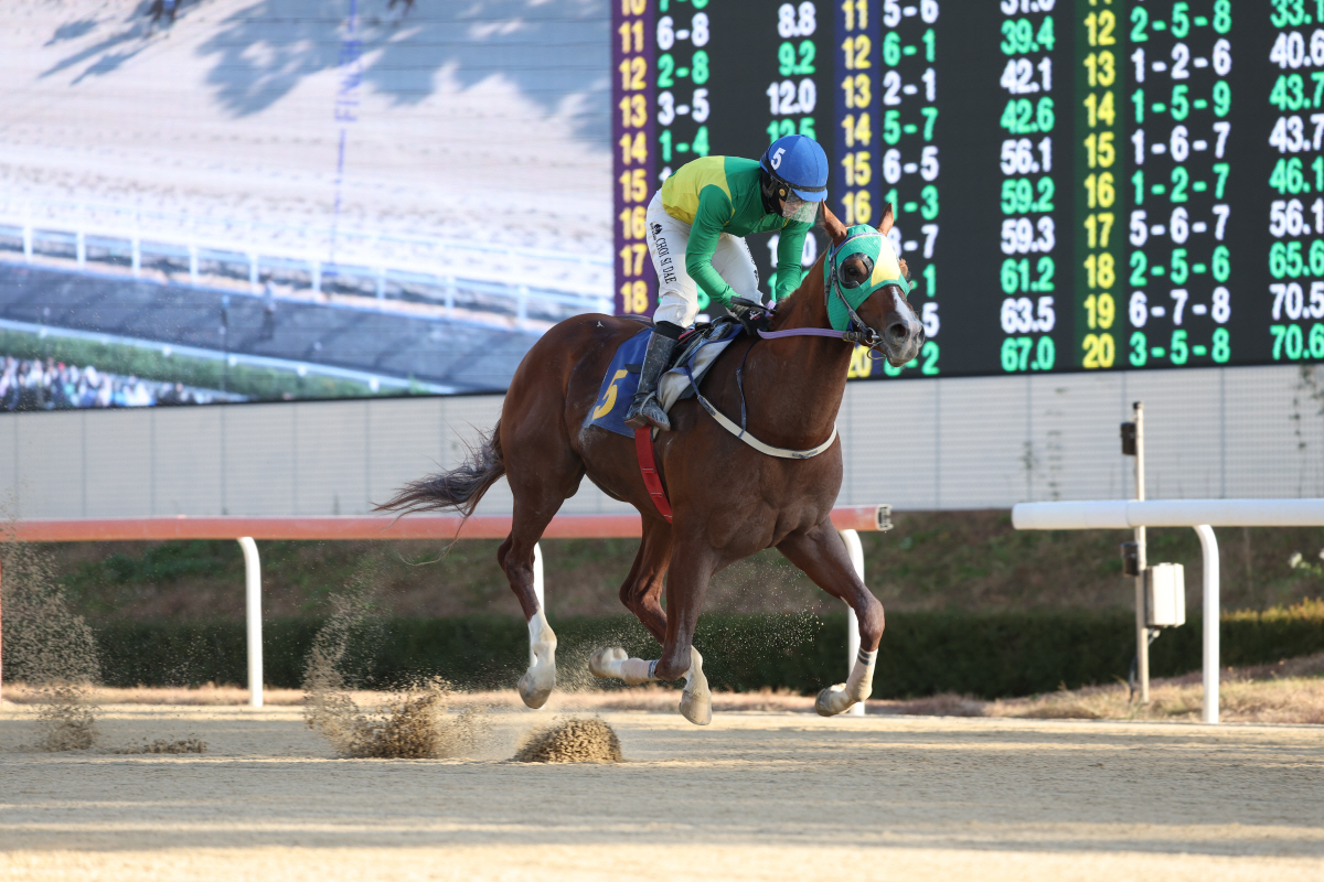 위너클리어 . 사진제공=한국마사회