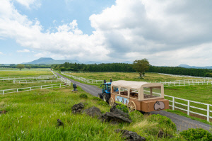 [경마] 한국마사회 제주목장, '광활한 초원 달리는' 트랙터 마차 투어 10일 재개